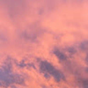 Meet your Posher, Élisa-maude